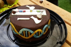 2015-CORE-promoter-cake